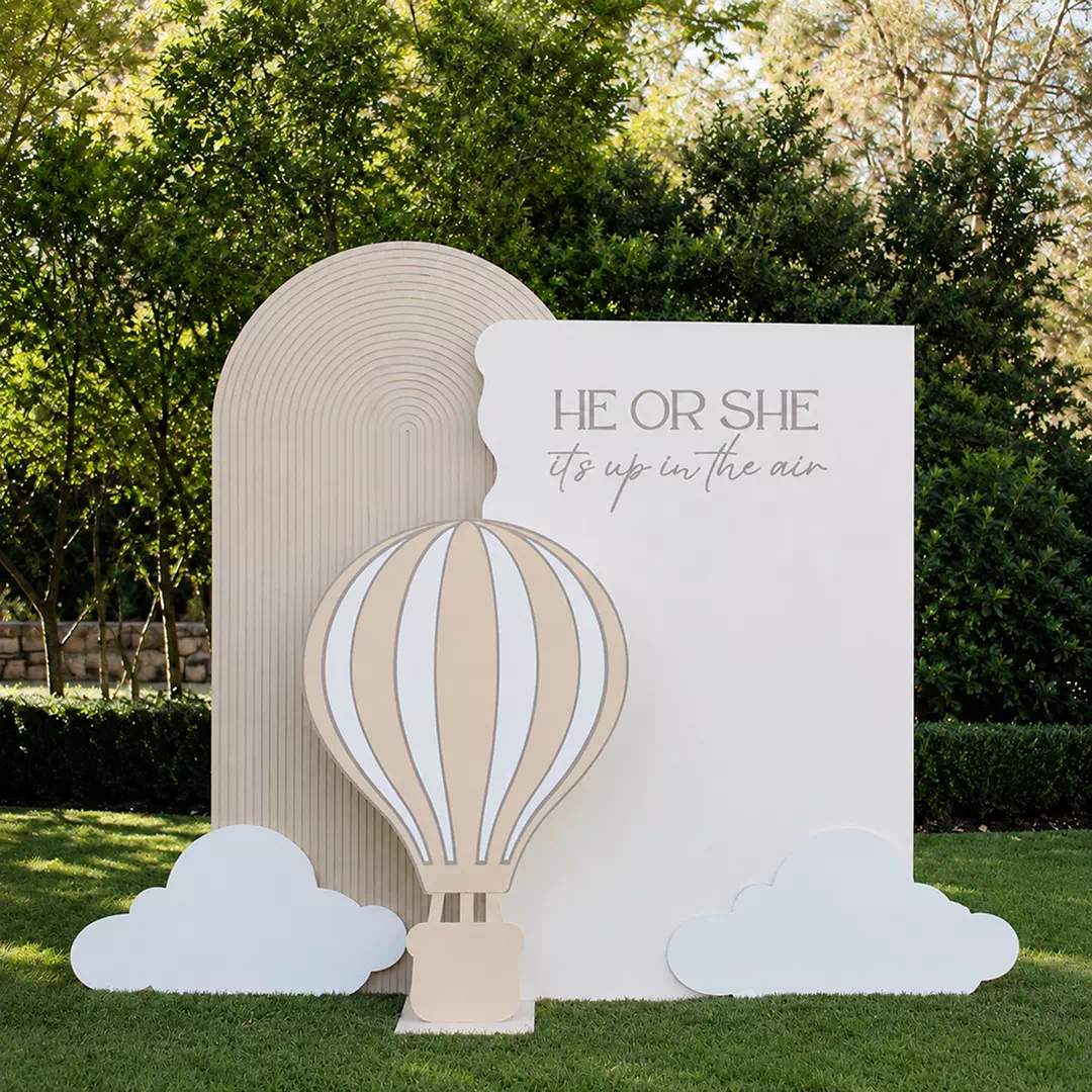 Cloud Arch 3D Hot Air Balloon Backdrop – Gender Reveal Photo Backdrop UAE - Image 2